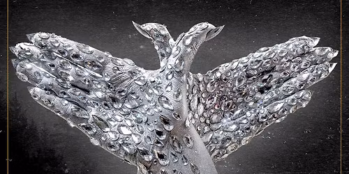 Swallow the Sun Wolverhampton Tickets