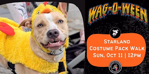Starland District Costume Pack Walk!