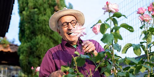 Dorchester - Gardening with Phuong