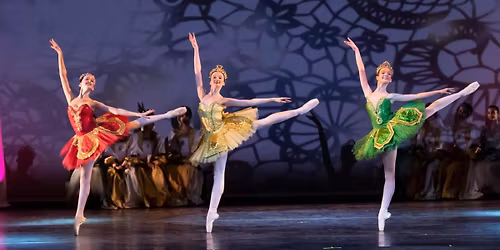 International Ballet Stars: The Sleeping Beauty