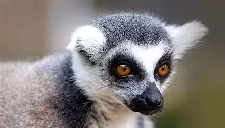 Animal Training Workshop At Jimmy's Farm