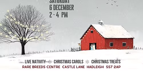 Muddy Church Christmas on the Farm