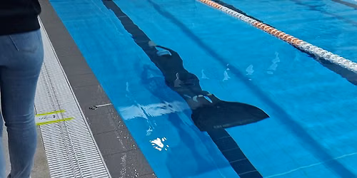 Queenstown Freediving Club 2026 AIDA Competition Series - Part 3