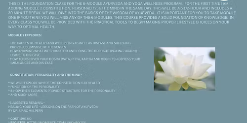 Ayurveda & Yoga Wellness Program and 5 Sense Therapies
