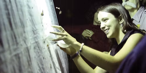 Parking The Moth - Saint Paul