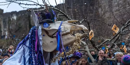 Chepstow Wassail and Mari Lwyd. Hosted by Widders Border Morris