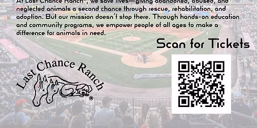 Syracuse Mets at Lehigh Valley IronPigs at Coca-Cola Park