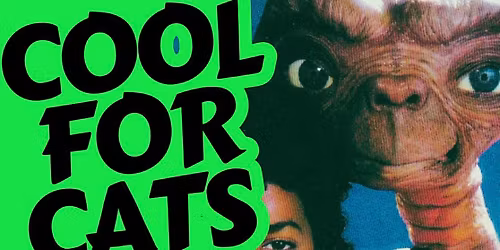 COOL FOR CATS \/\/ HALLOWEEN SPECIAL \/\/ POP RECS \/\/ SUNDERLAND