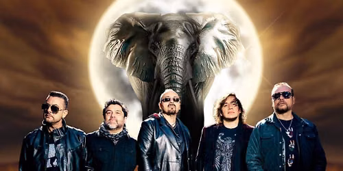 Elefante