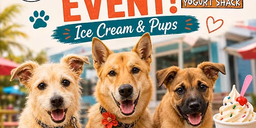 Yogurt Shack Adoption Event