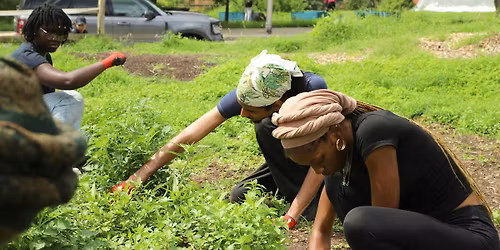 Reclaiming Soil: Urban Gardening & Community Sovereignty