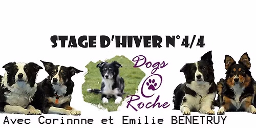 Stages d'hiver 4\/4