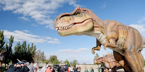 DINOSAURS & I HEART COOKIES in CASA GRANDE - WEDNESDAY (12\/17)!!!