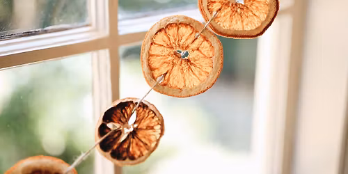 DIY Citrus Garlands or Ornaments
