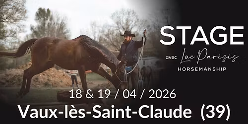 (39) Stage avec Luc Parisis Horsemanship