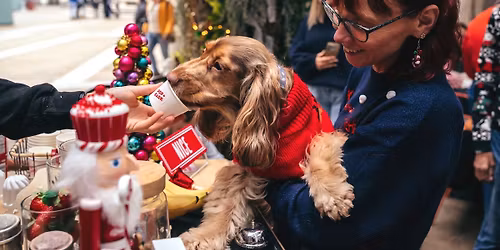COCKER SPANIEL CAFE CHRISTMAS - BOURNEMOUTH
