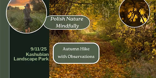 Polish Nature Mindfully: Autumn Hike with Nature Observation around a Bog Reserve