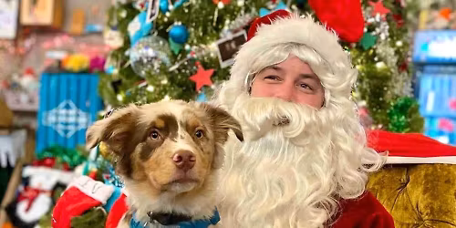 Santa and pet photos