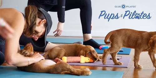 Pups & Pilates with Club Pilates