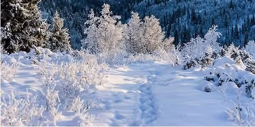 Gutsy Girls Holiday | Cross Country Ski and Yoga Weekend in Norway