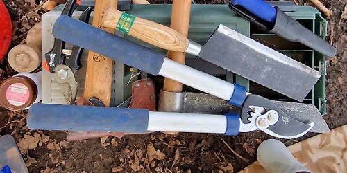 Forest School Tool refresher Workshop
