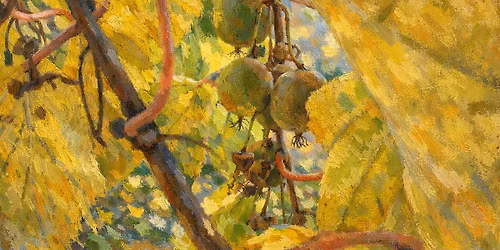 \ud83c\udf53Balade gourmande au jardin