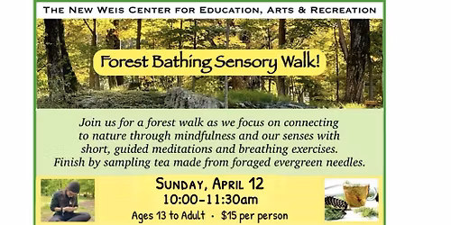Forest Bathing Sensory Walk & Foraged Tea