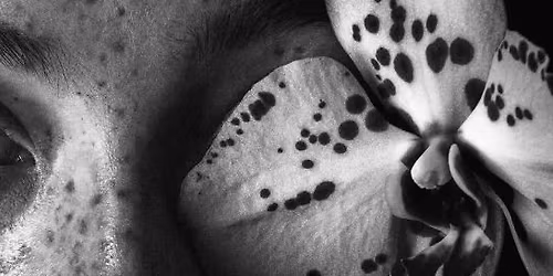 \u041e\u0441\u043d\u043e\u0432\u0438 \u043d\u0430 \u0440\u0435\u0442\u0443\u0448\u0430 \u0441\u044a\u0441 \u0421\u0438\u043c\u0430 \u0411\u0438\u0432\u043e\u043b\u0430\u0440\u0441\u043a\u0430