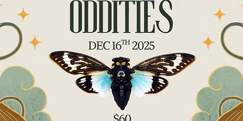 Twisted Oddities at Artisan Haven