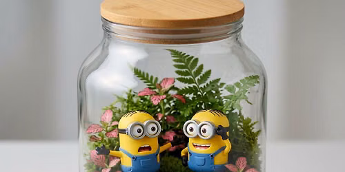 Minion Madness Terrarium Workshop
