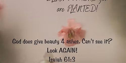 BEAUTIFUL ASHES WOMENS IN-REACH INTENSIVE