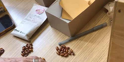 Intro to Seed Saving