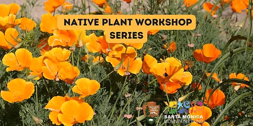 Native Plant Workshop Series - Herbarium