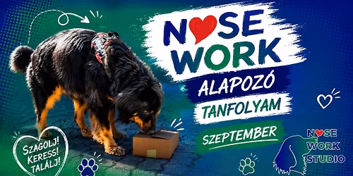 Nose Work Alapoz\u00f3 tanfolyam - SZEPTEMBER h\u00e9tv\u00e9ge