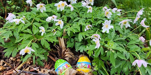 2. p\u00e5skedag - familiegudstjeneste