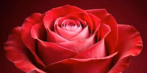 Mother's Day at Maxan Jazz