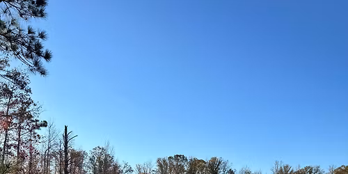 WIM Standing Boy Hike