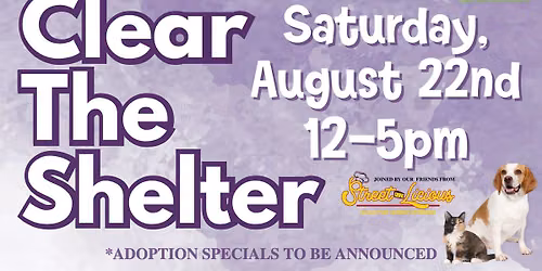 Clear The Shelter 2026