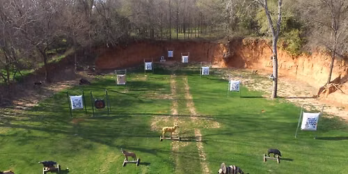 Pecan Airgun Kids Camp