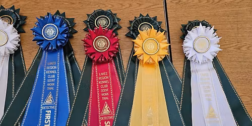 AKC Scent Work Detective Trials