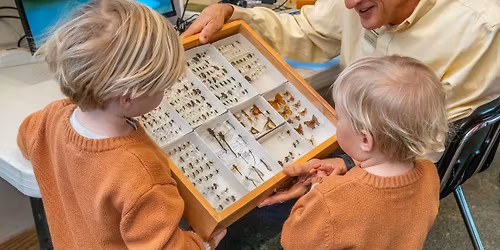 Free Day at the Museum