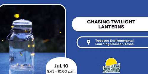 Chasing Twilight Lanterns