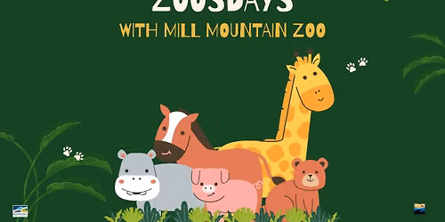 Zoosdays with Mill Mountain Zoo at Main Library