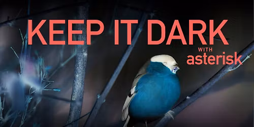 Keep it Dark