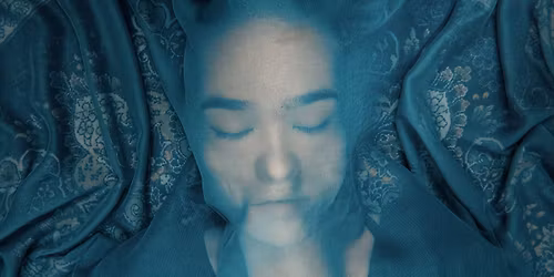 A Fox Under A Pink Moon + Panel conversation at Cinemateket