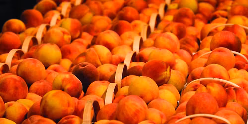 Peach Party