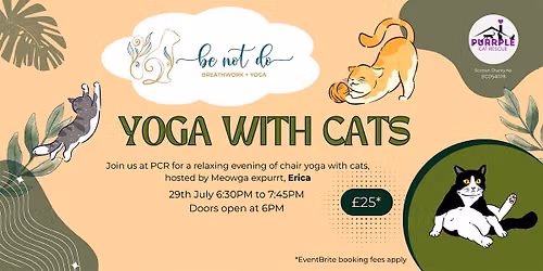 Yoga with Cats! Meowga with Erica
