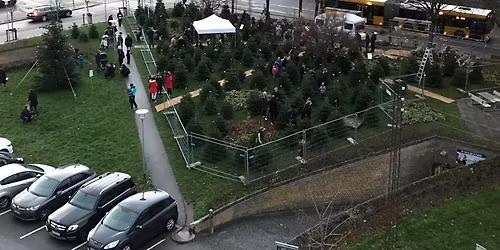 Juletr\u00e6st\u00e6nding