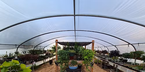 Dahlia Tuber SALE (Spokane Valley)