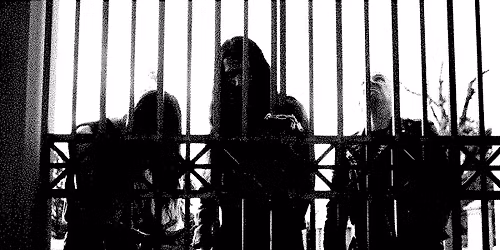 OF FEATHER AND BONE + CIVEROUS | MUSICON, DEN HAAG